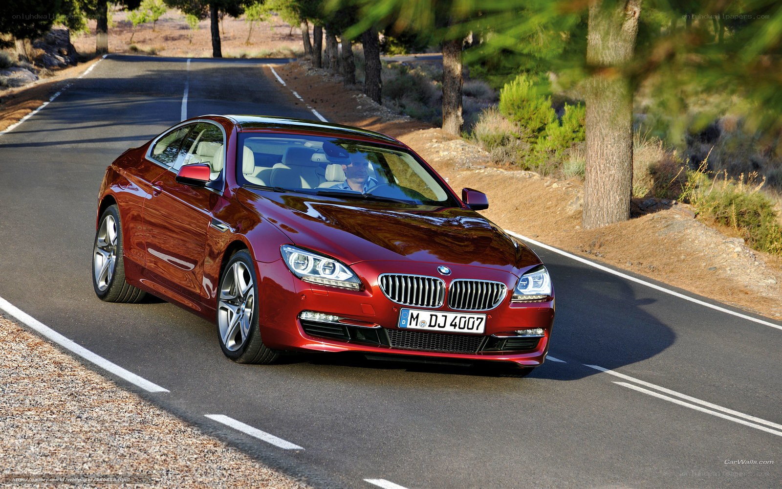 Red BMW 6 Series driving on road