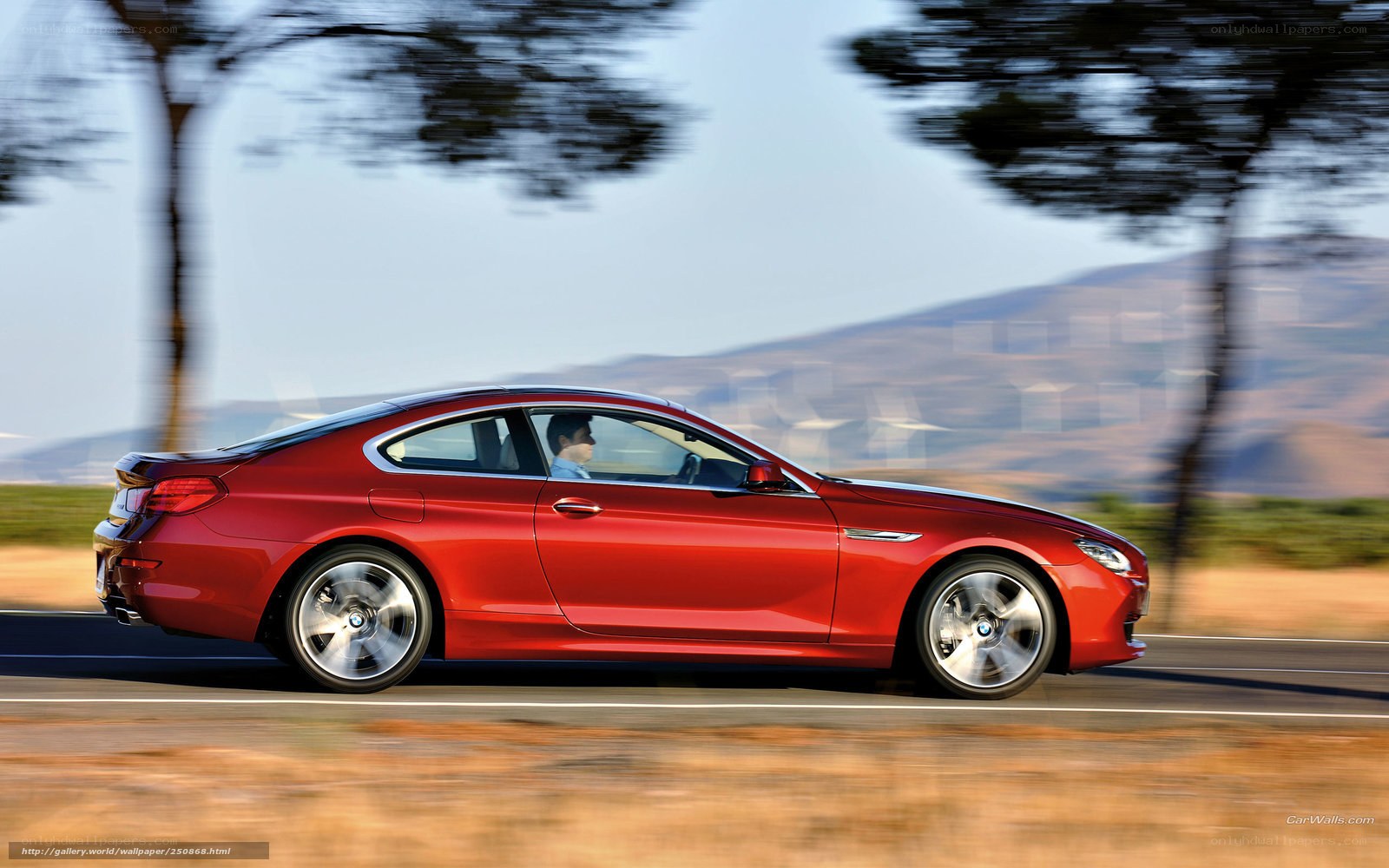 Red BMW 6 Series in motion