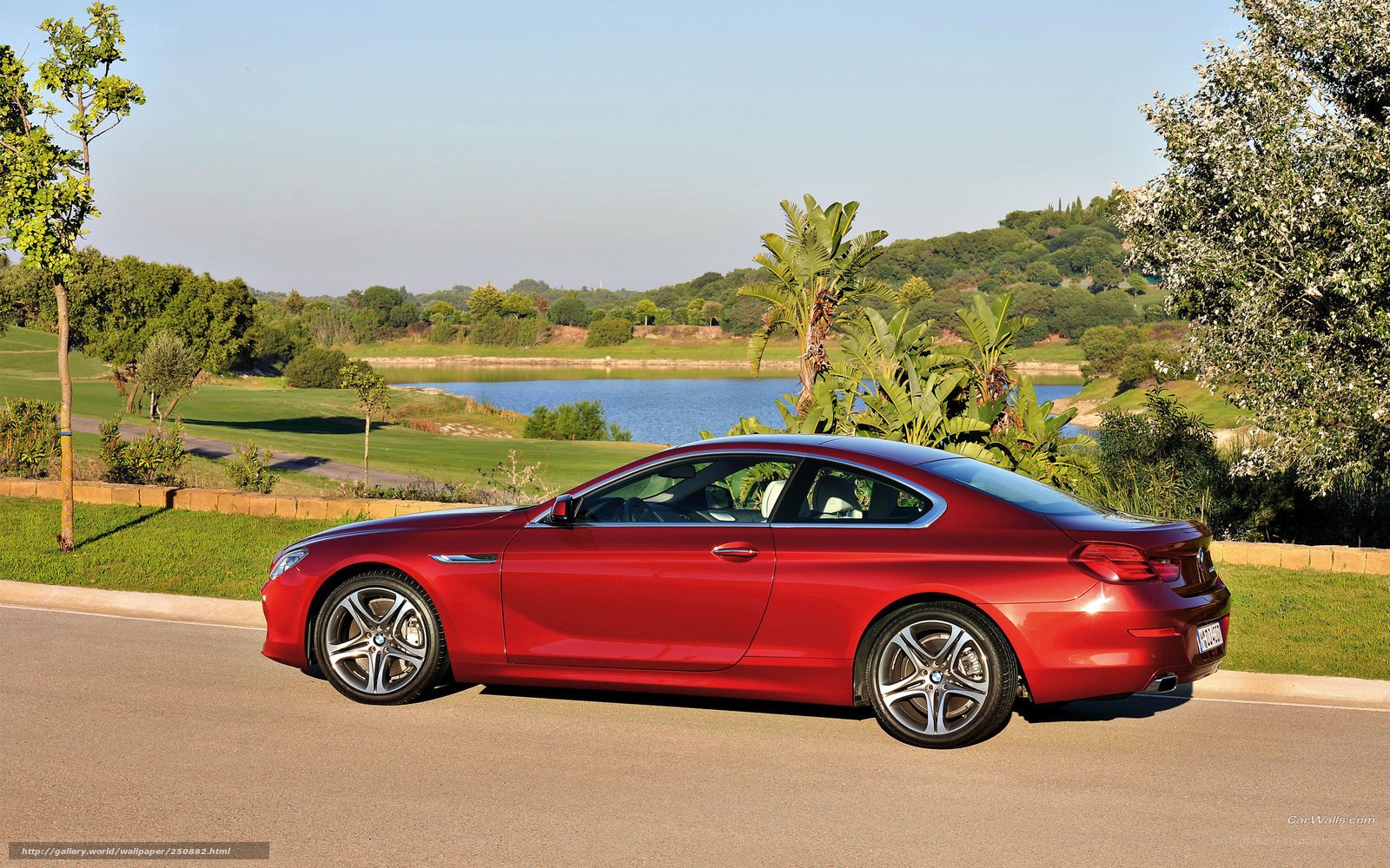 Red BMW 6-Series on a golf course