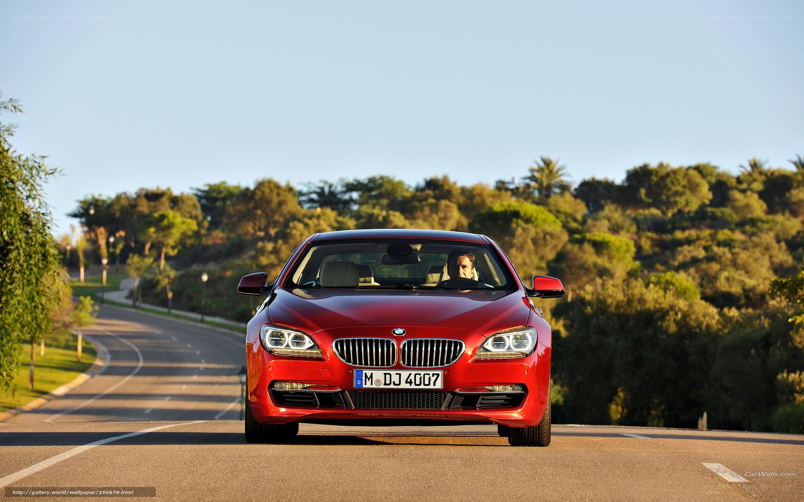 Red BMW 6 Series on a scenic road