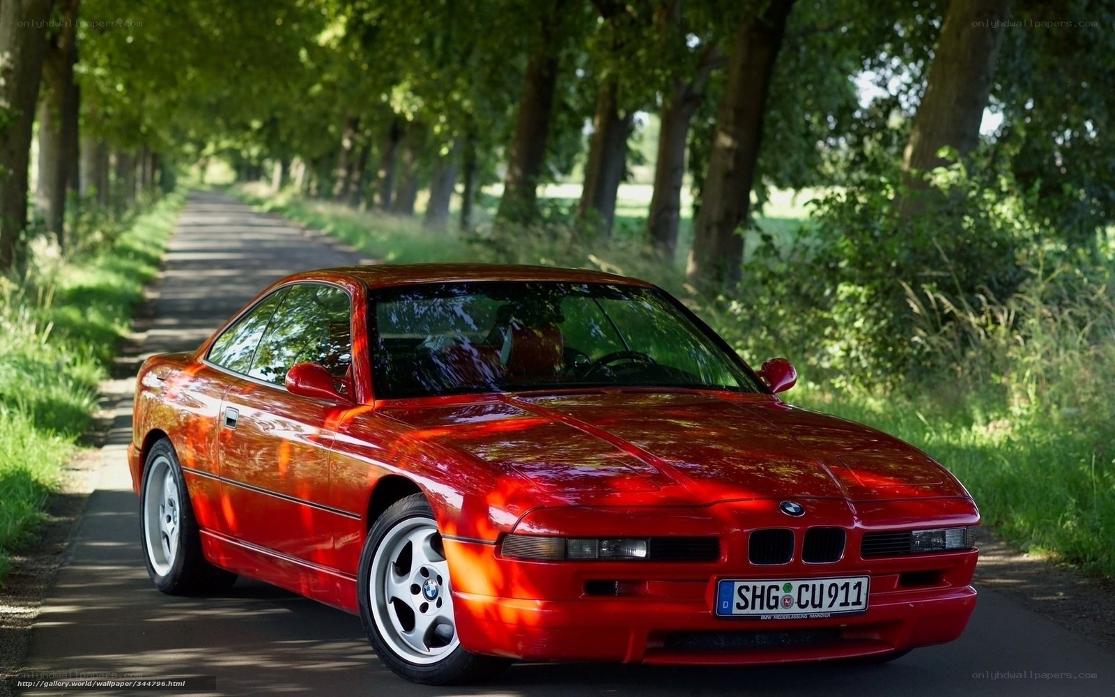 Red BMW 8 Series on a tree-lined road
