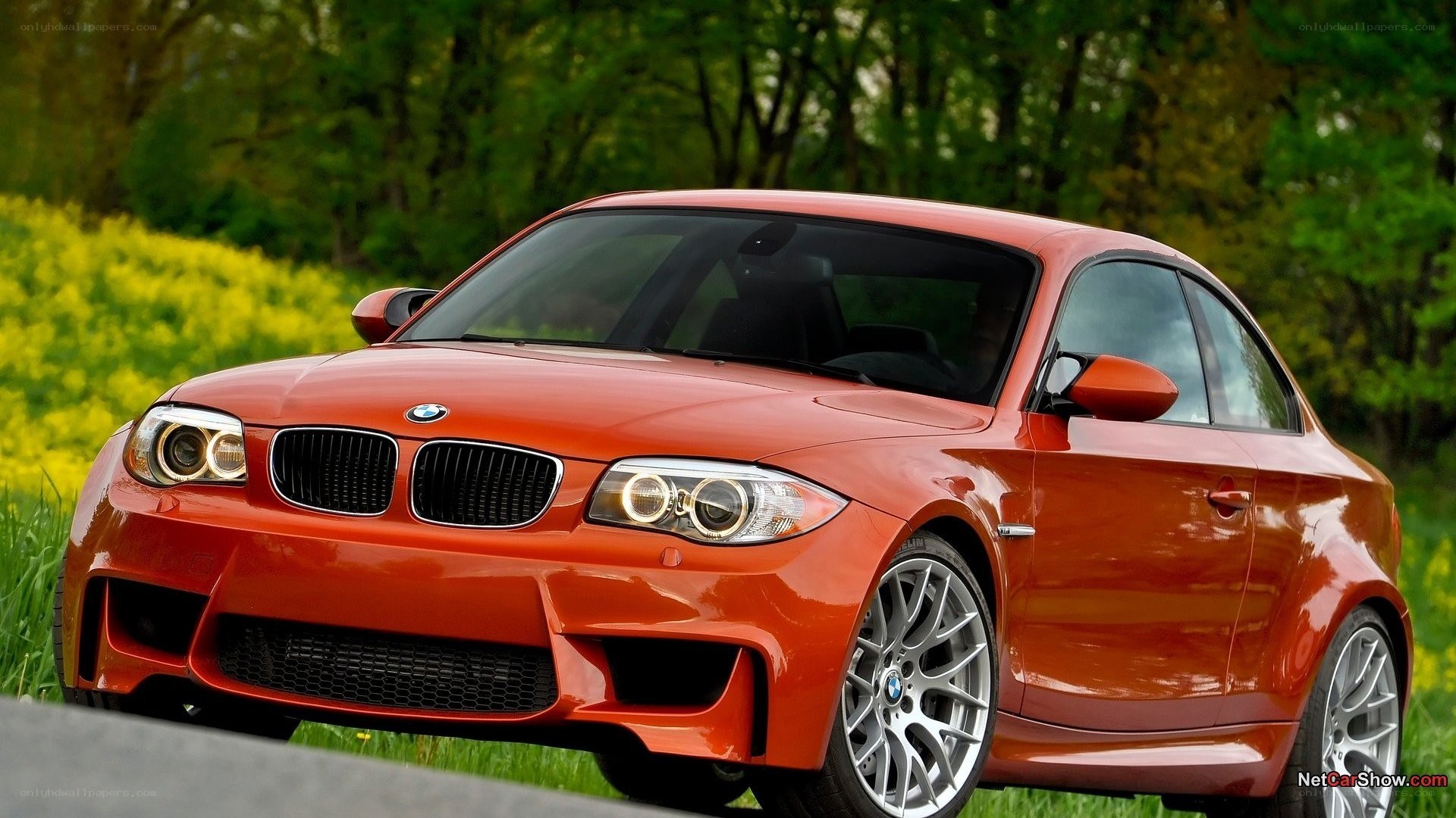 red bmw coupe in field