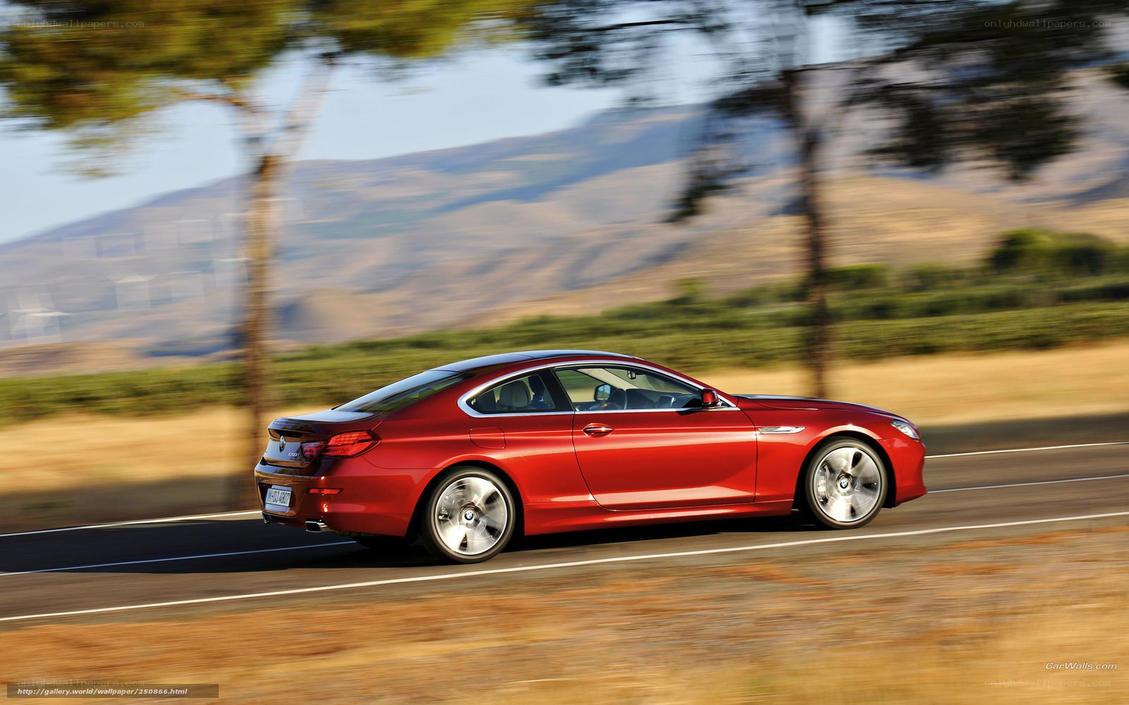 Red BMW coupe on a road