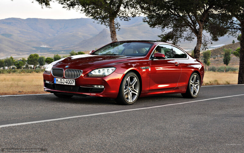 Red Bmw Coupe — Serene, Afternoon, Photograph, Car, Road, Trees
