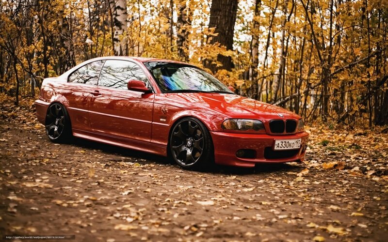 Red BMW Coupe — Serene, Autumn
