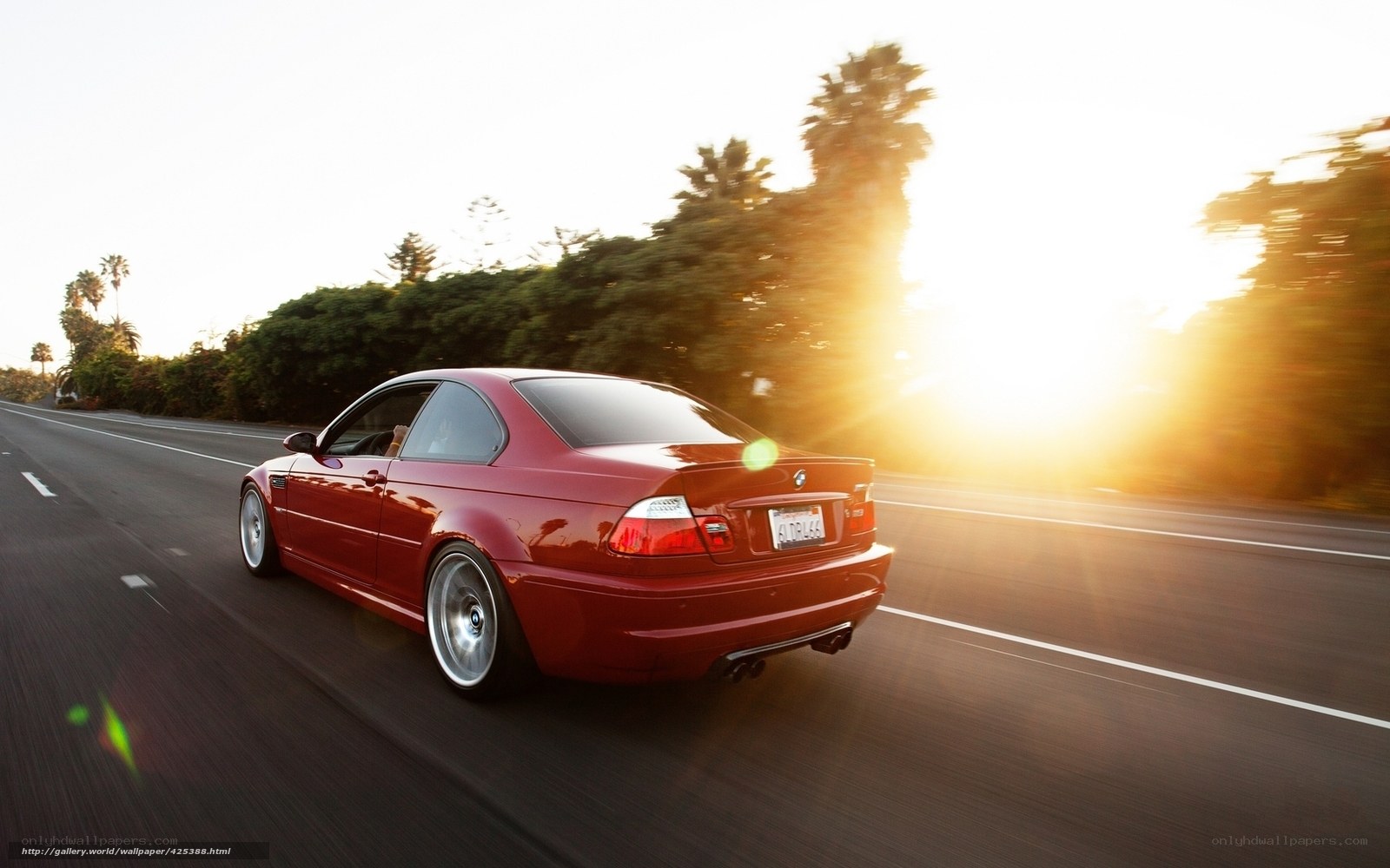 red bmw driving at sunset