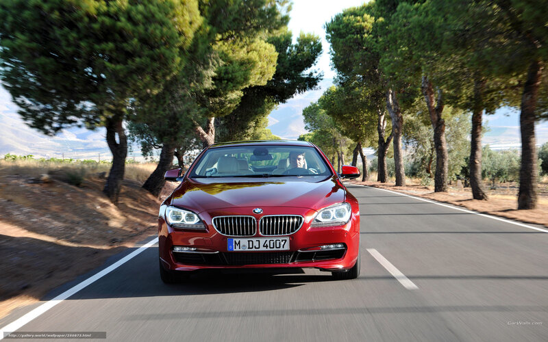 Red BMW driving on a tree-lined road