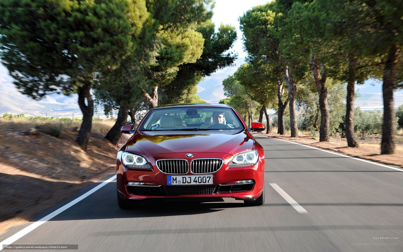 Red BMW driving on a tree-lined road