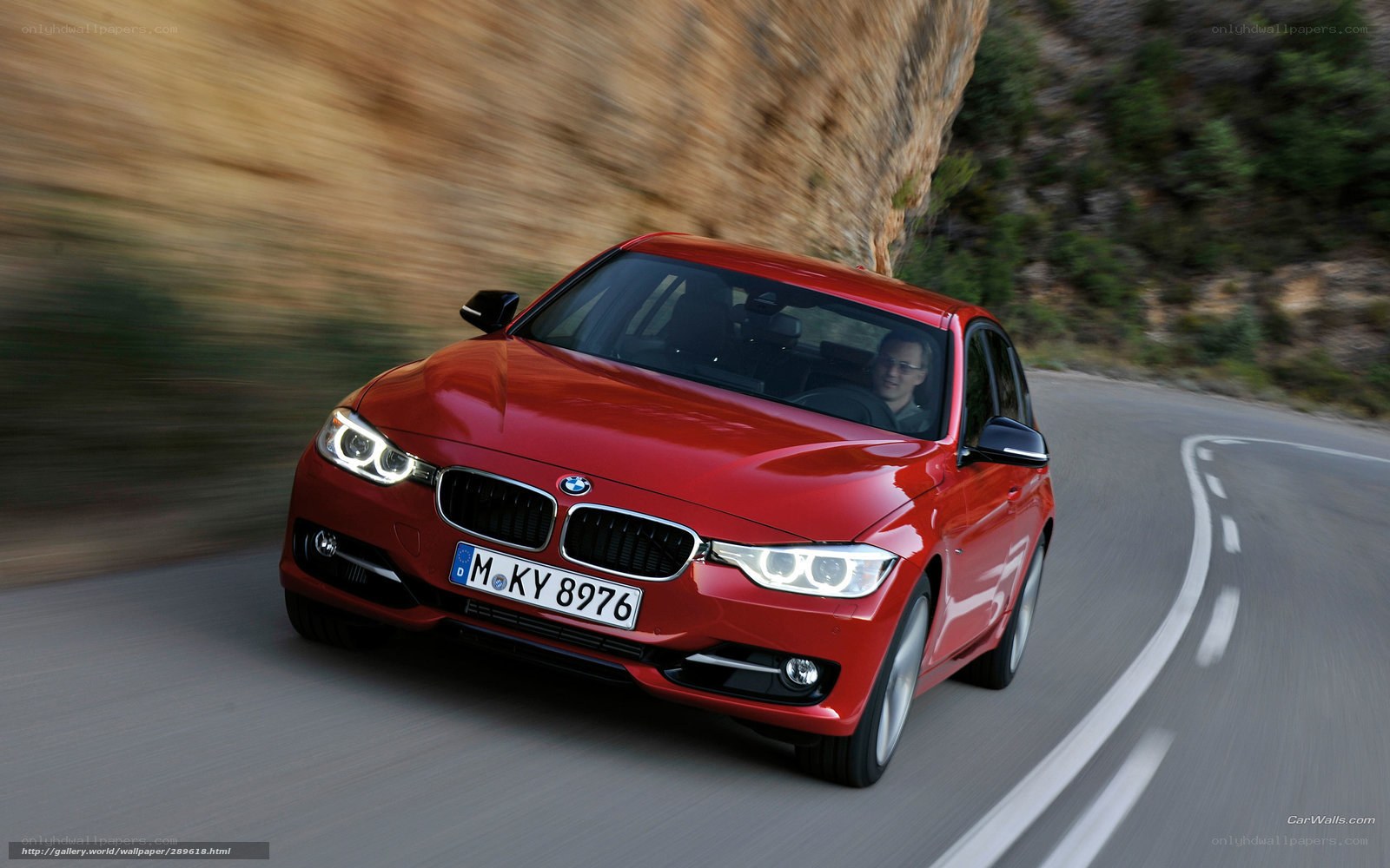 red bmw driving on winding road