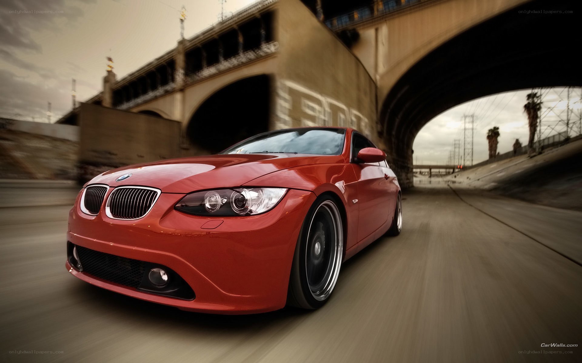 red bmw driving under bridge