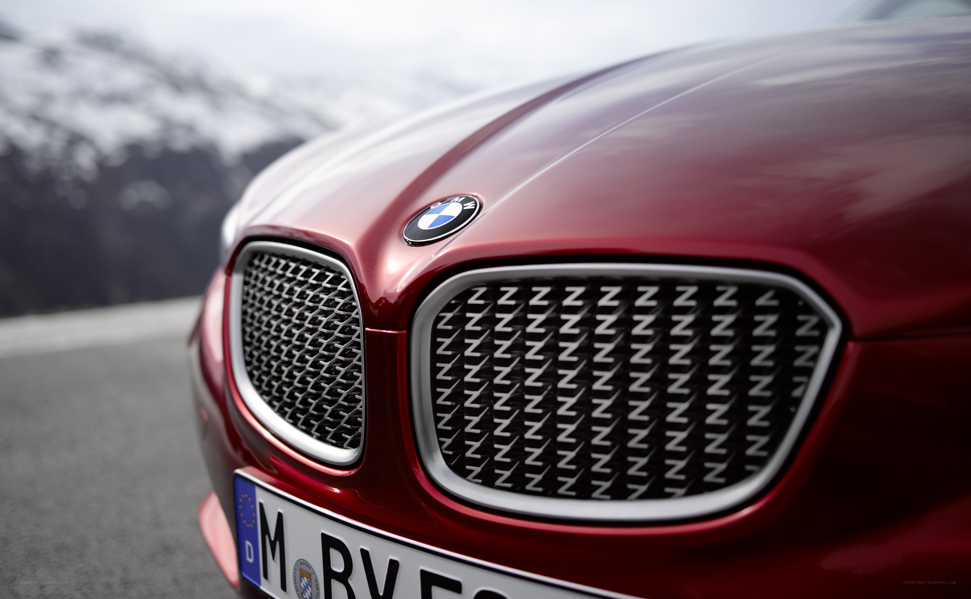 Red BMW front grille