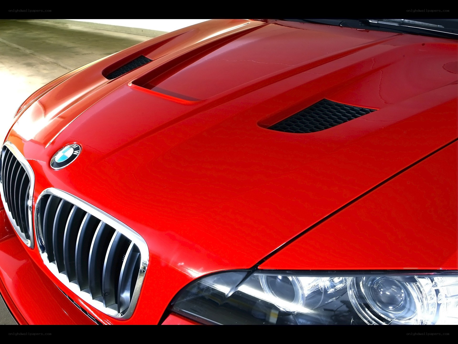 red bmw hood and grille