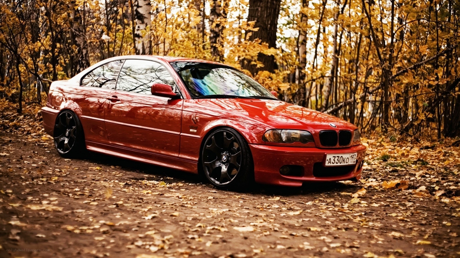Red BMW in autumn forest