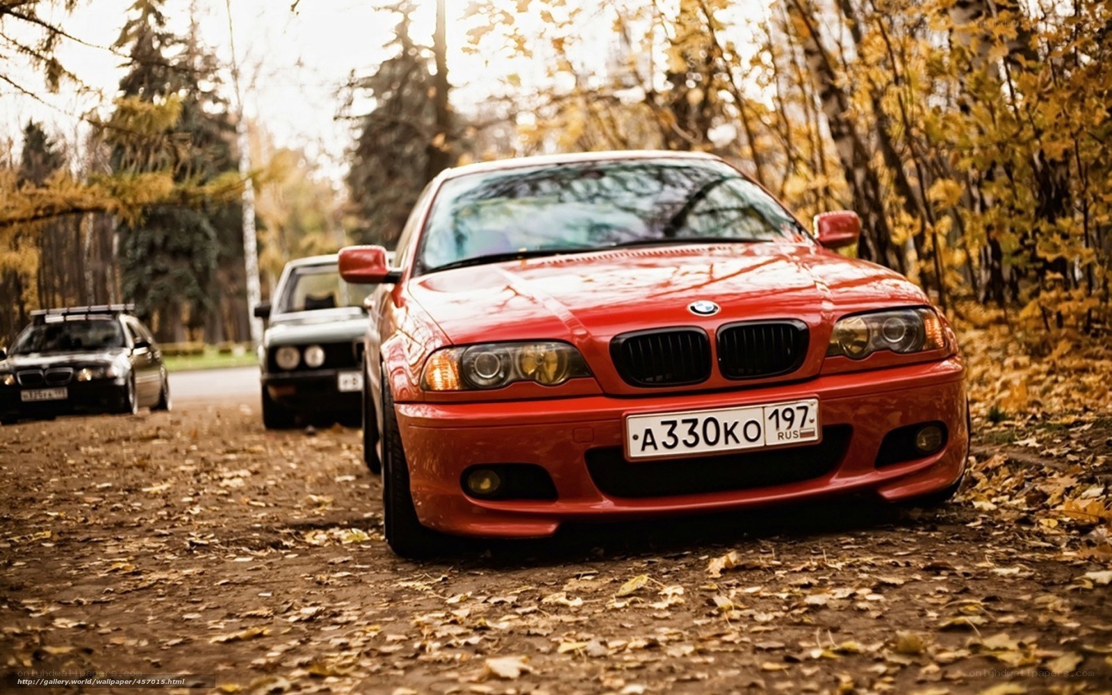 Red BMW in autumn forest
