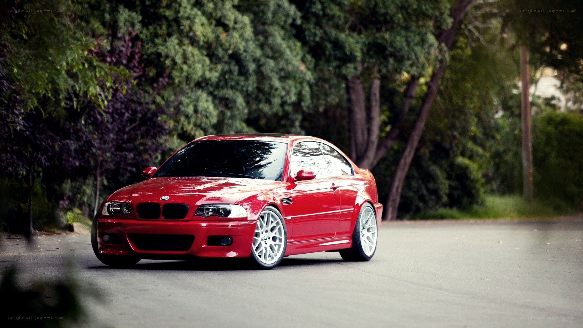 Red BMW M3 on a tree-lined road