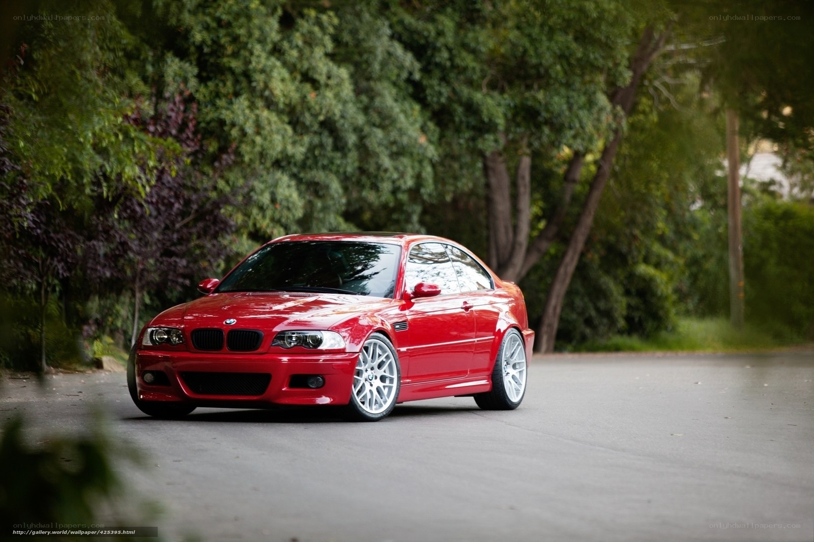 Red BMW M3 on a tree-lined road