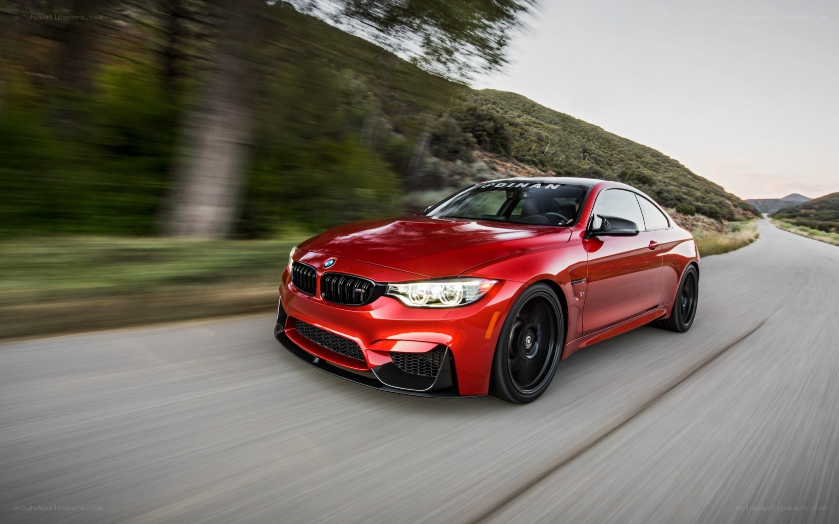 Red BMW M4 on a winding road