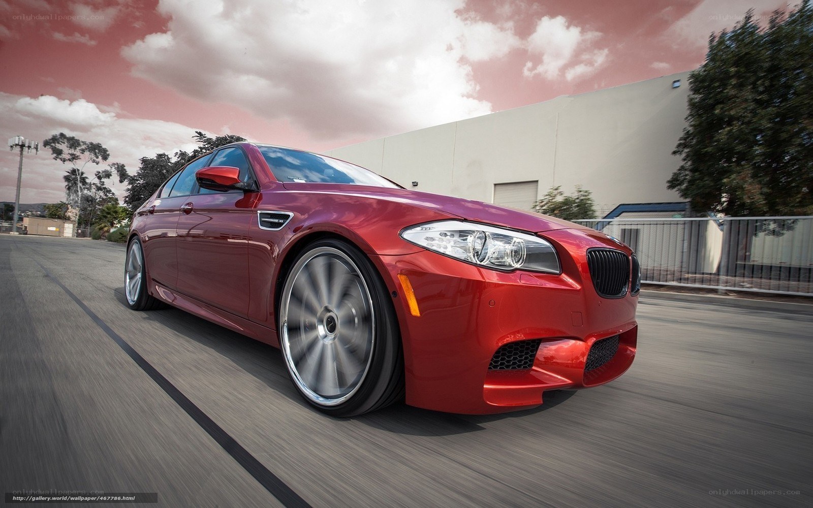 red bmw m5 in motion