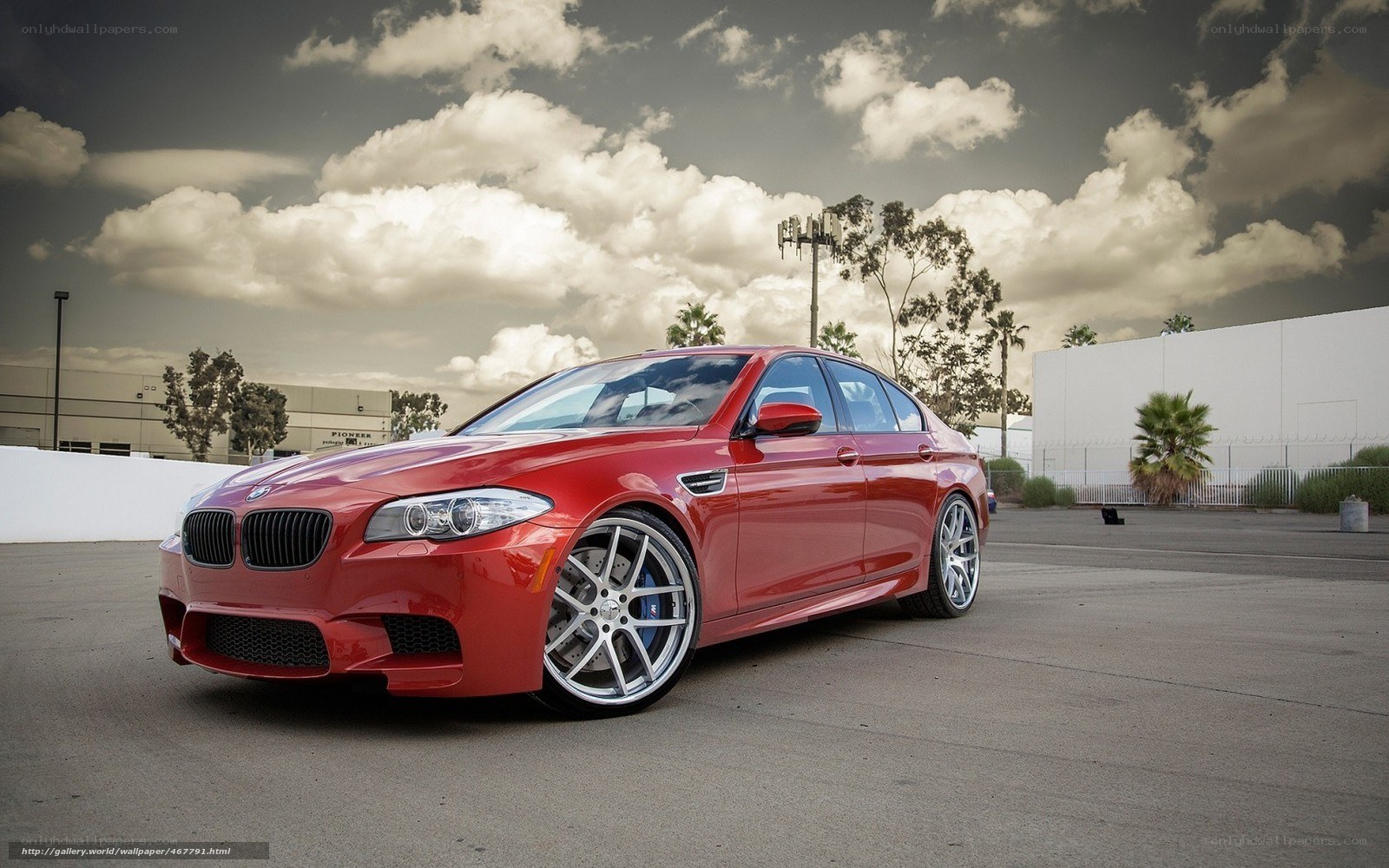 red bmw m5 on asphalt