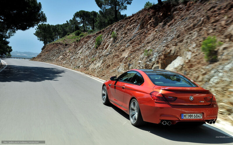 red bmw m6 on winding road