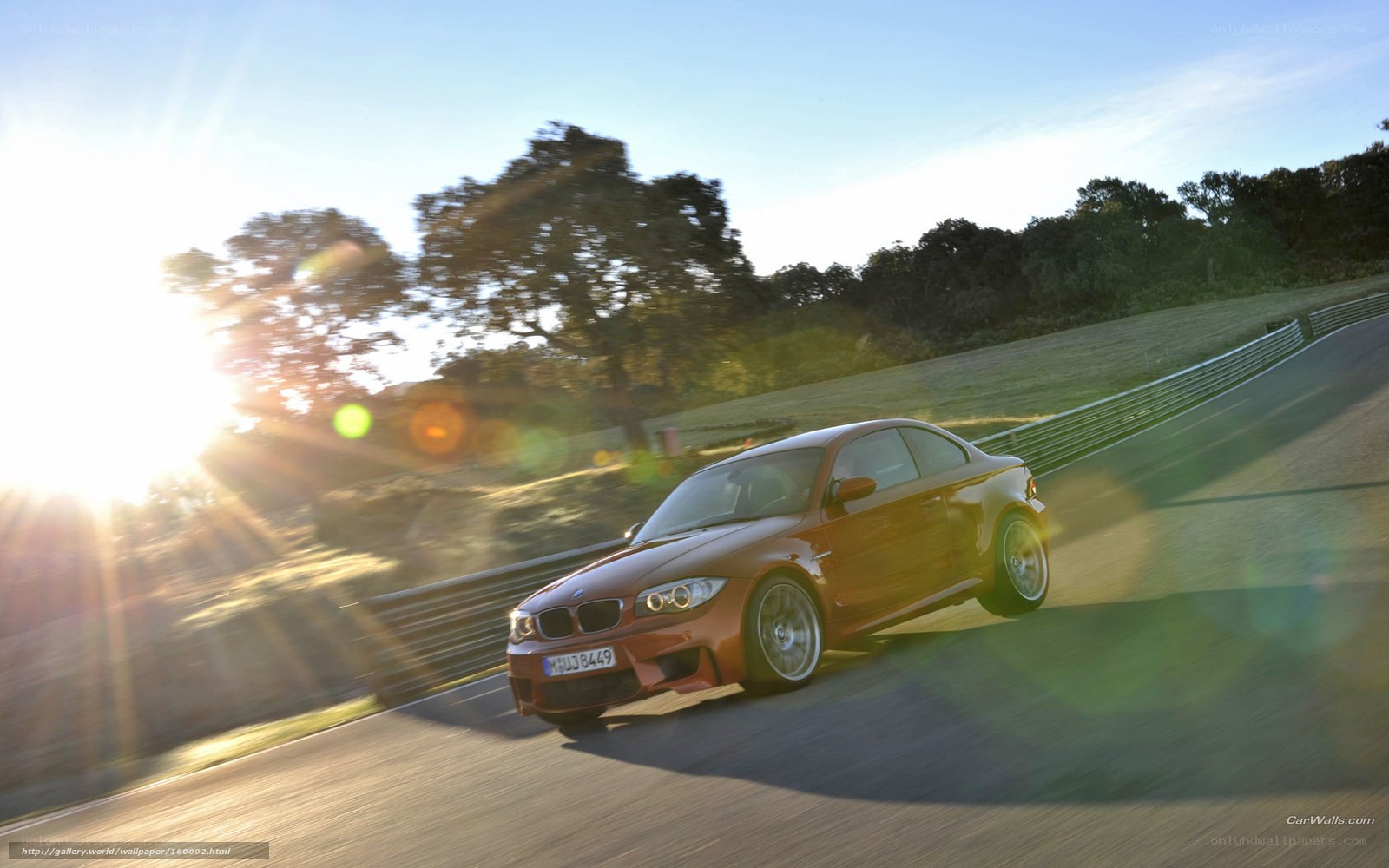 Red BMW on a racetrack