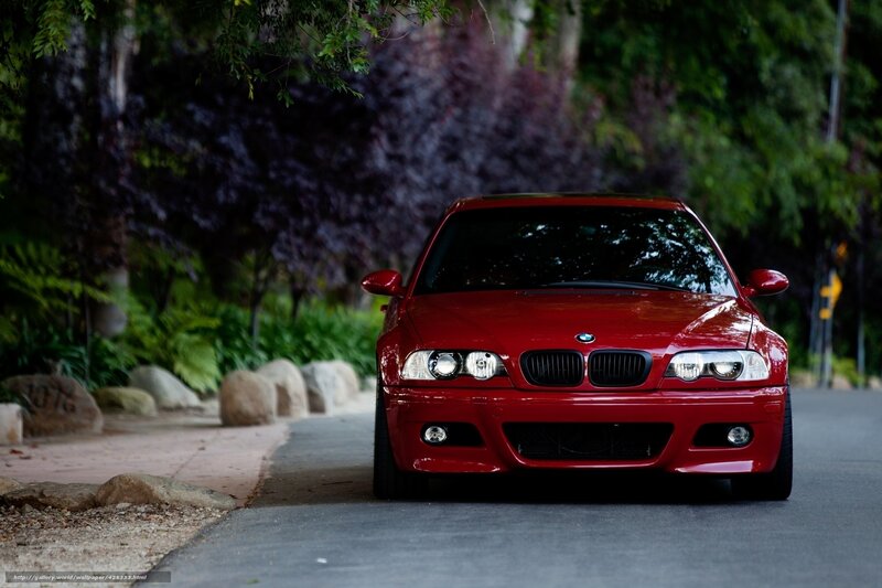 Red BMW on a tree-lined road