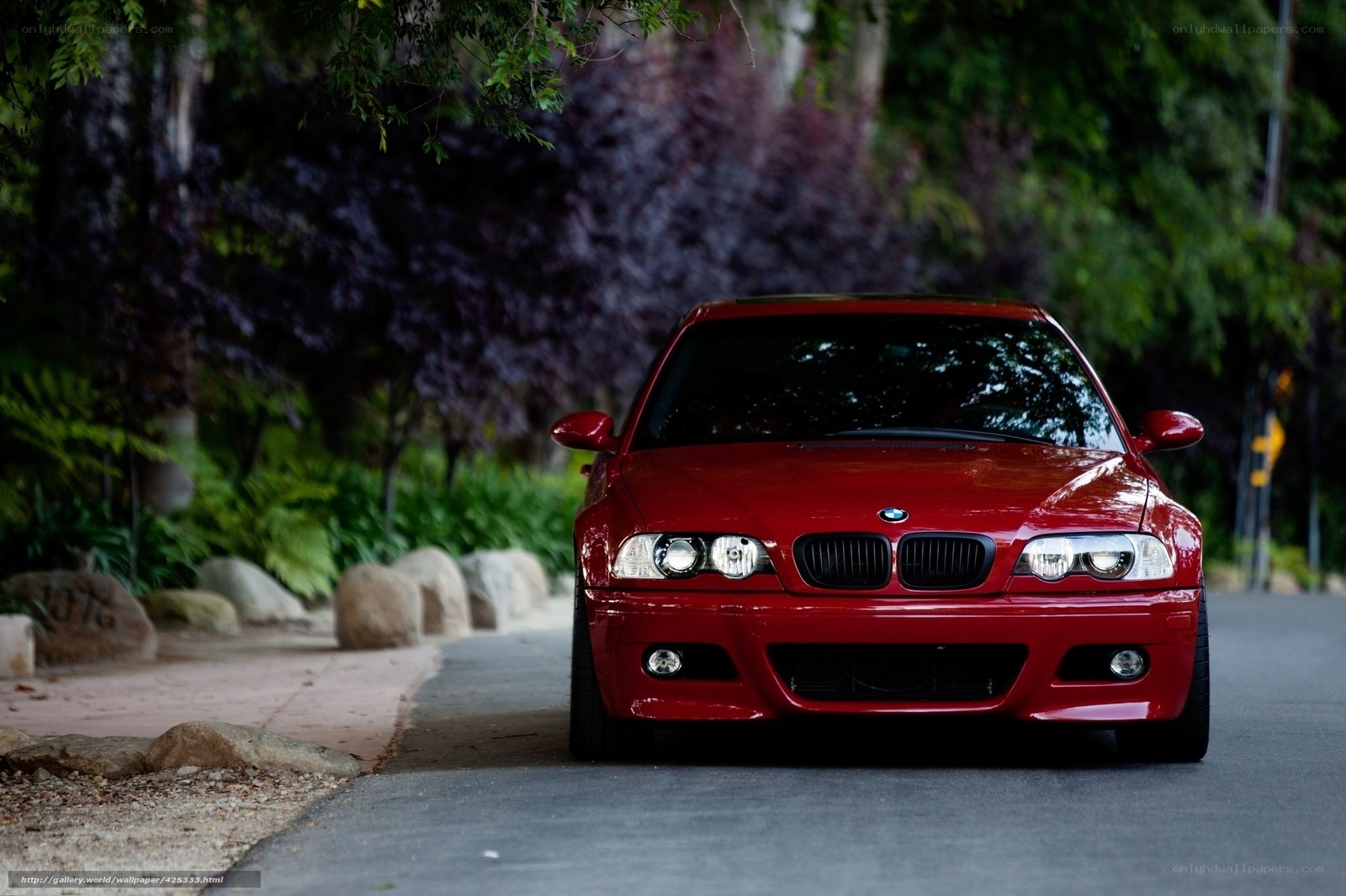 Red BMW on a tree-lined road