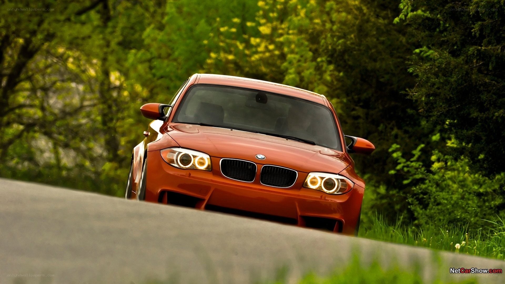 red bmw on a winding road