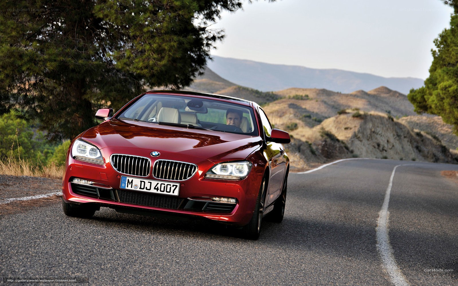 Red BMW on a winding road