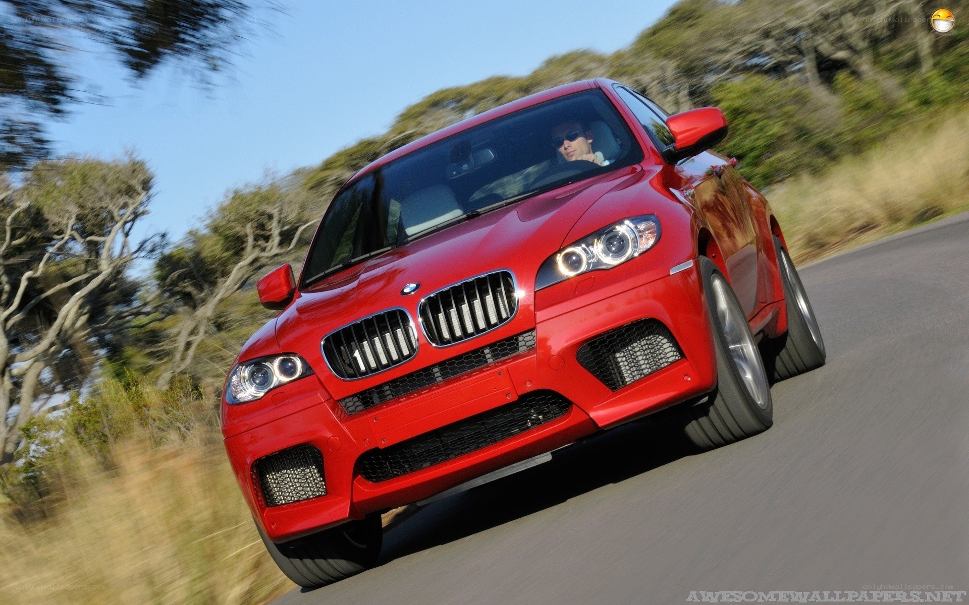 red bmw suv on road