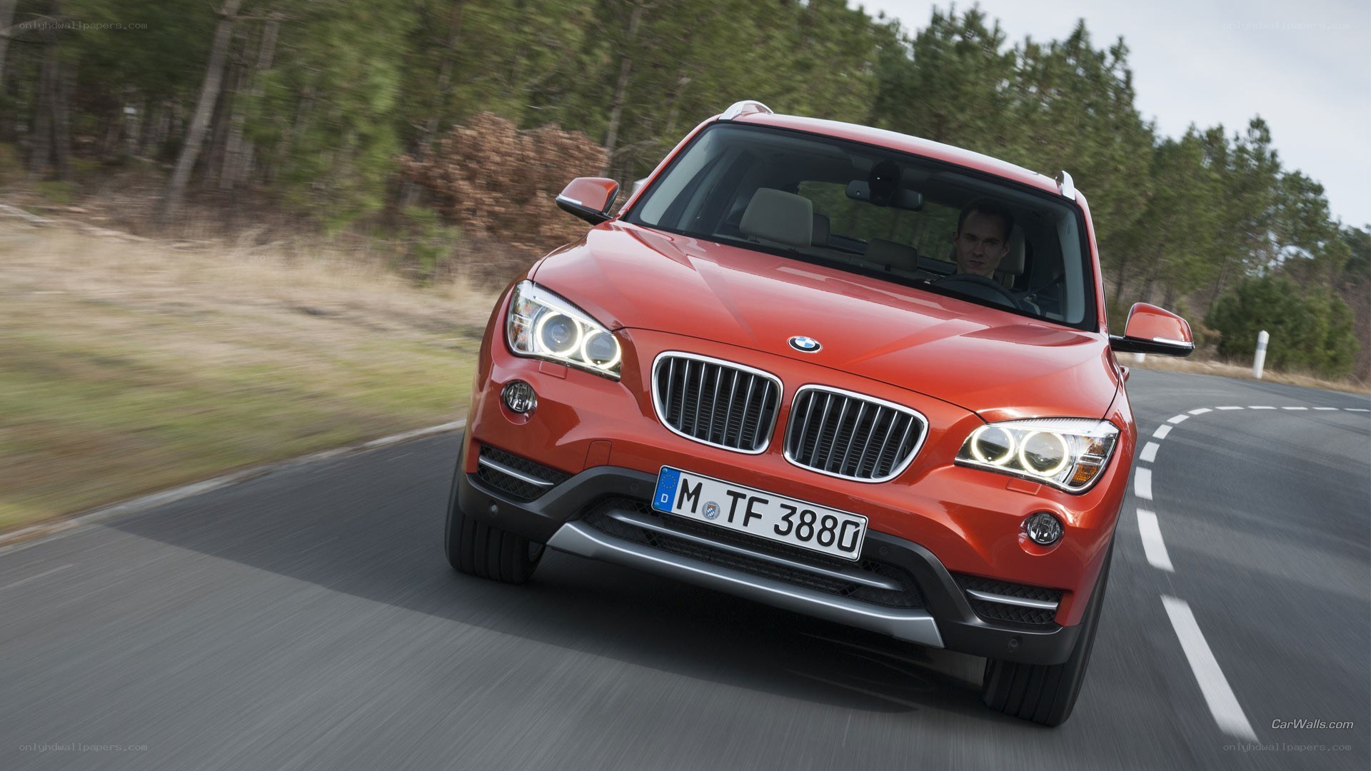 red bmw suv on road