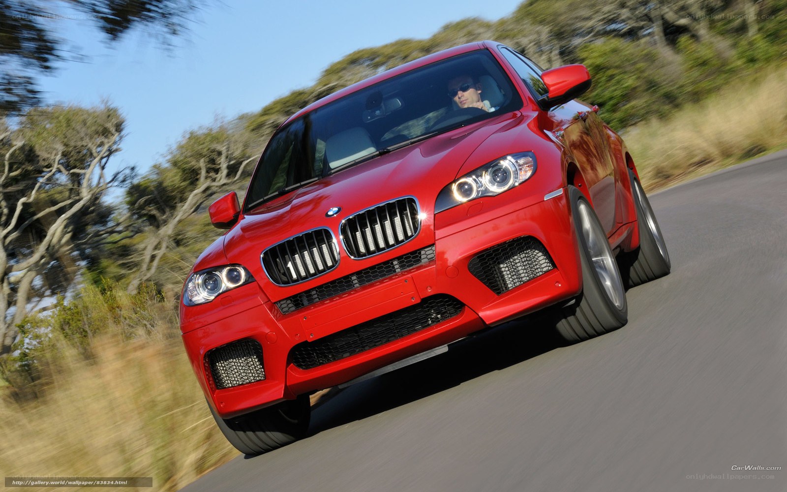 red bmw suv on road