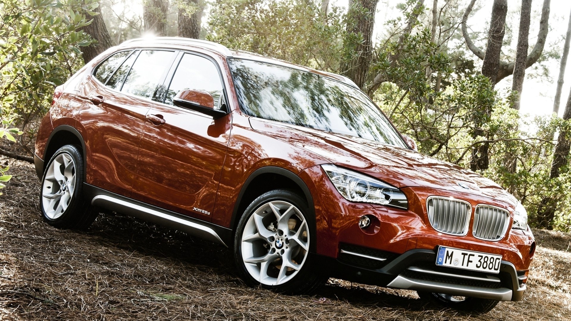 Red BMW X1 in forest