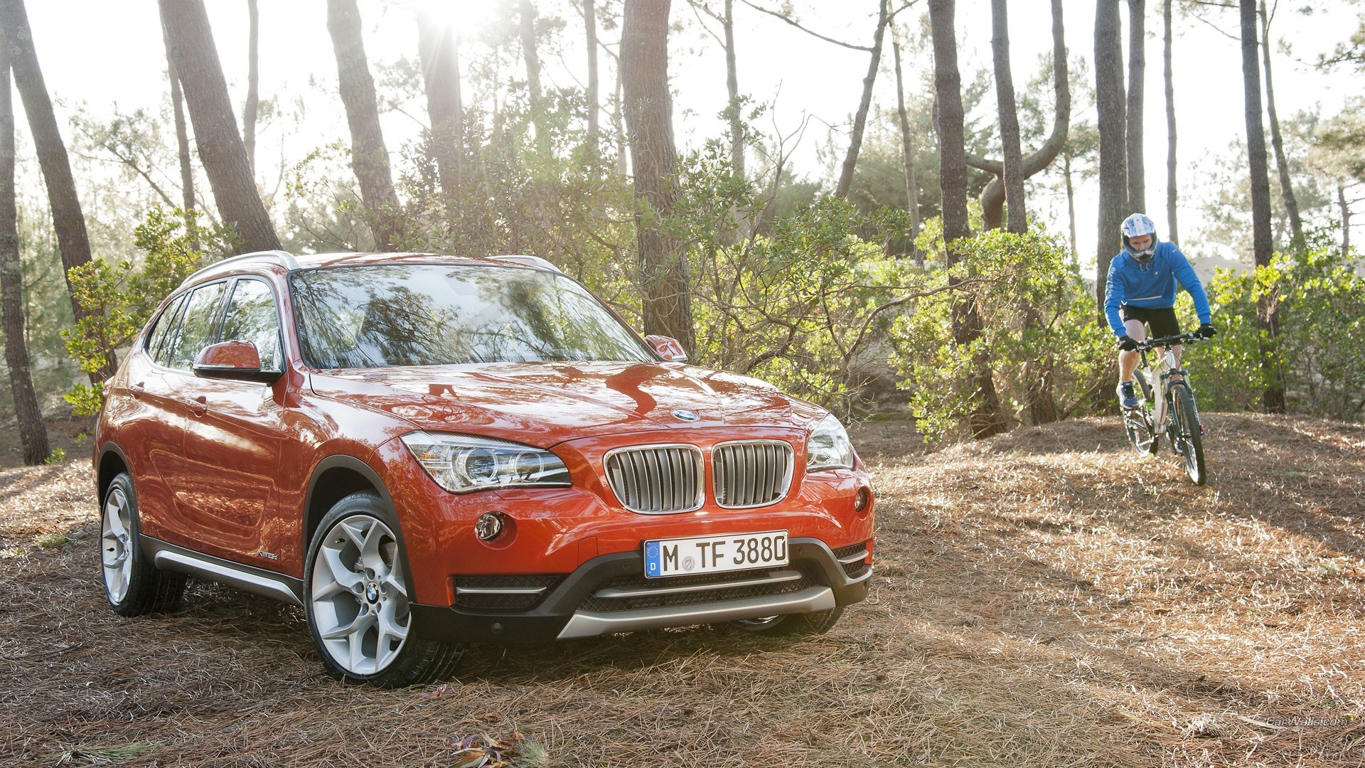 Red BMW X1 in forest