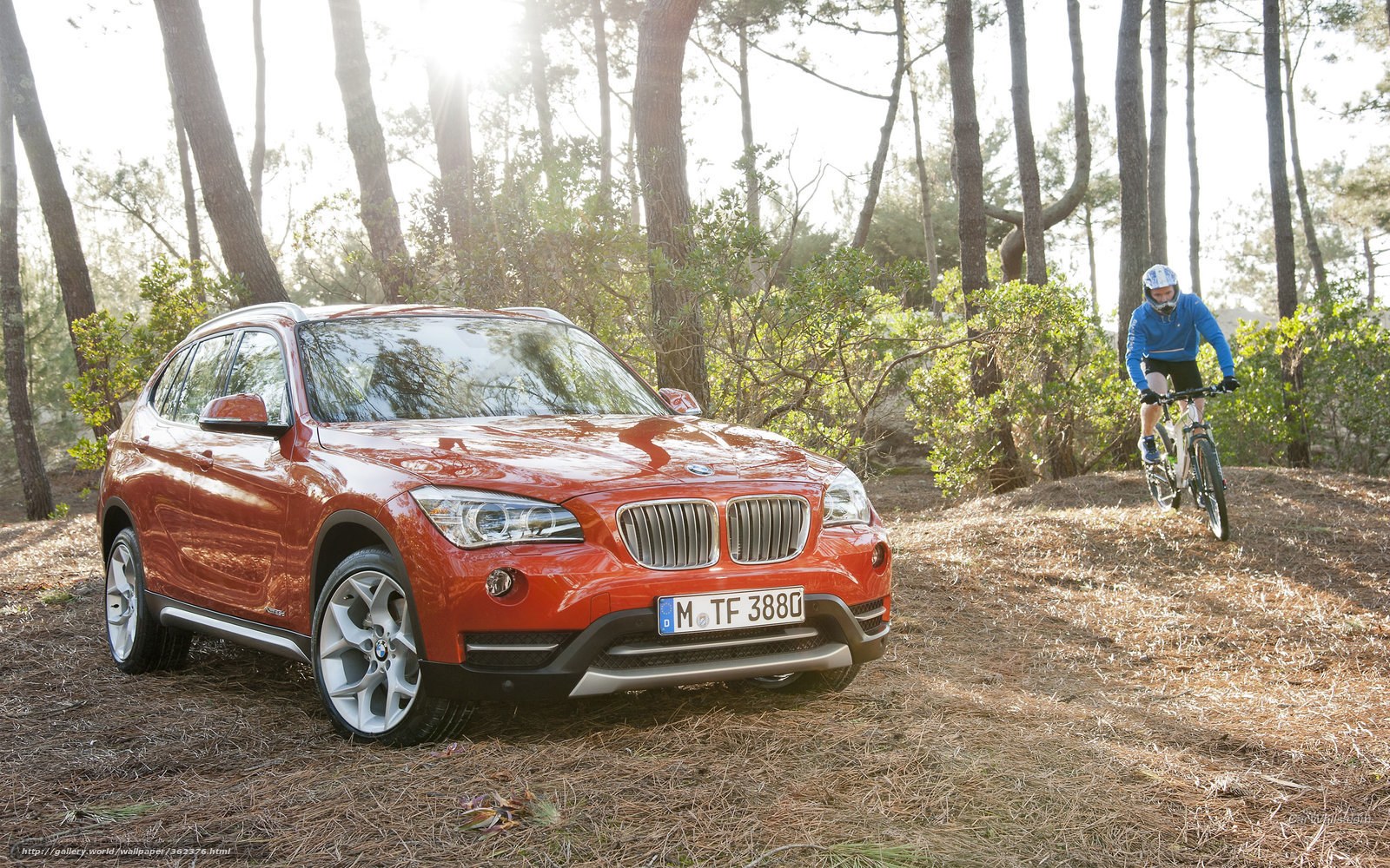 Red BMW X1 in forest