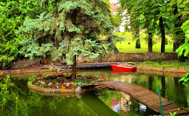 Red Boat in Pond