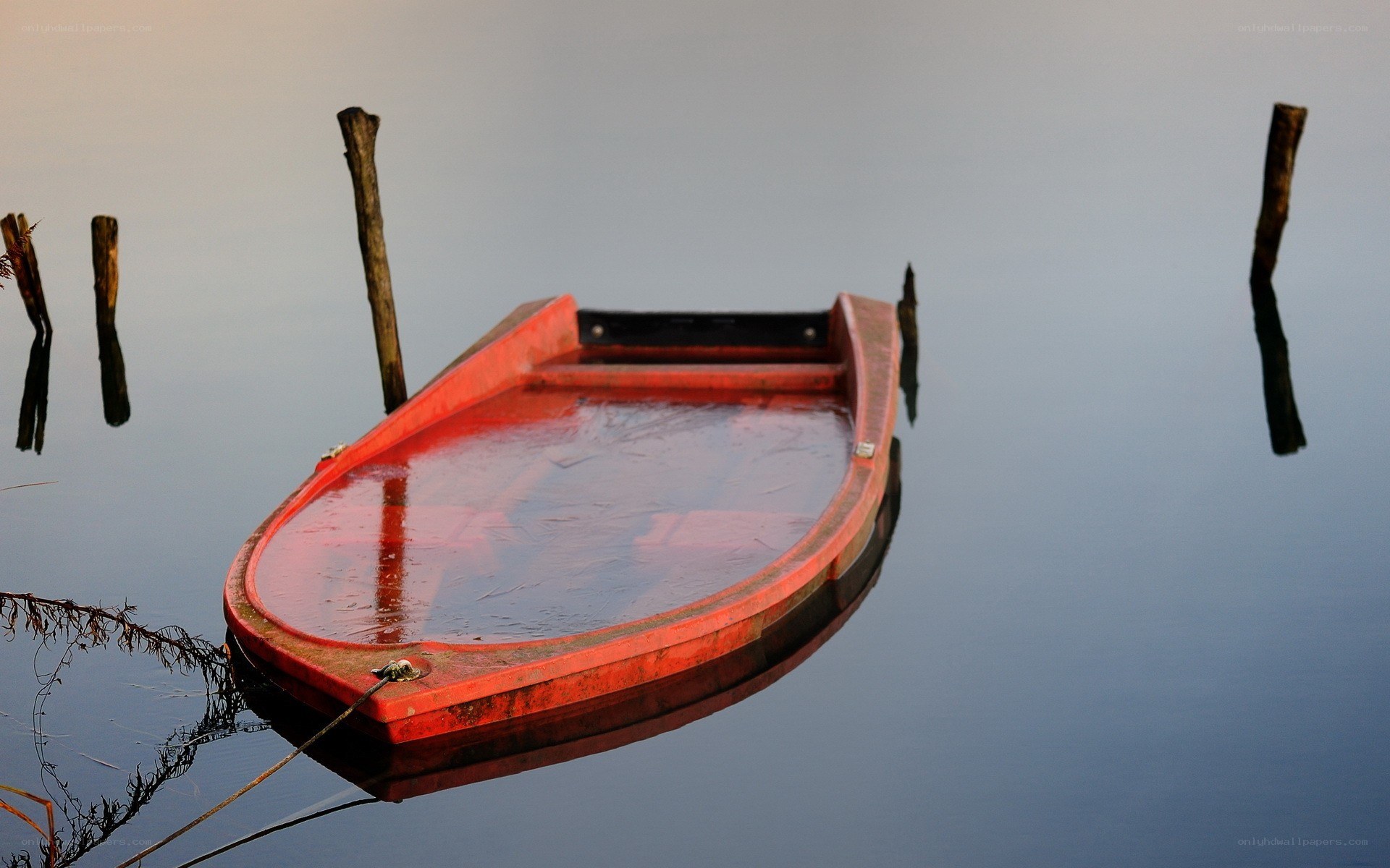Red boat on calm water