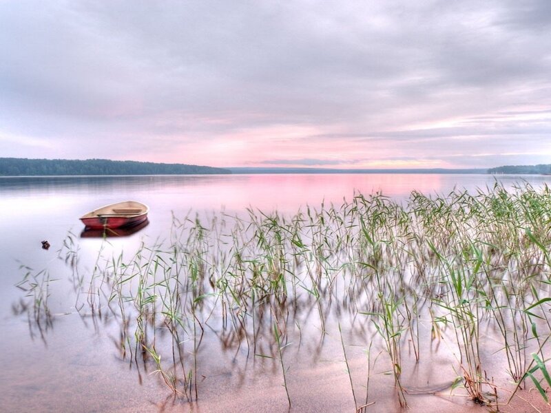Red Boat on Lake — Pink