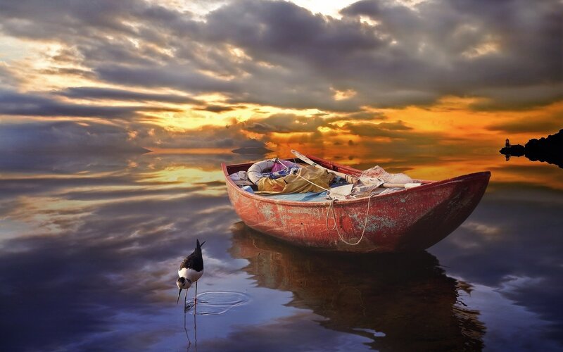 Red Boat on Water — Orange, Dramatic, Sunset, Photograph, Bird