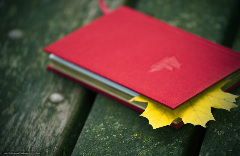 Red Book with Yellow Leaf — Serene