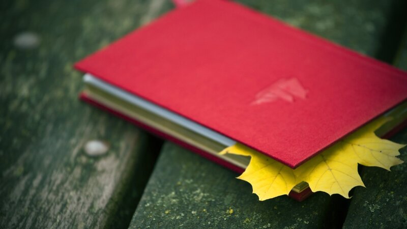 Red Book with Yellow Leaf