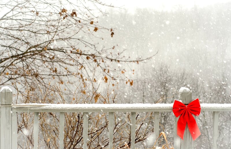 Red Bow on Fence