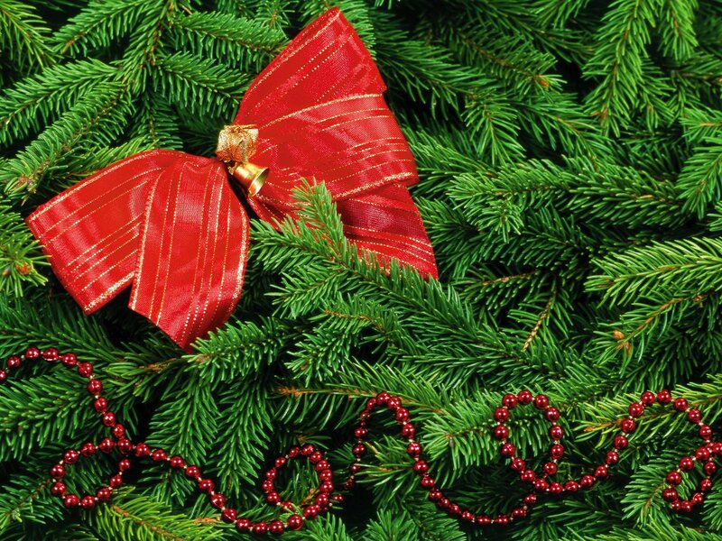 Red bow on pine branches