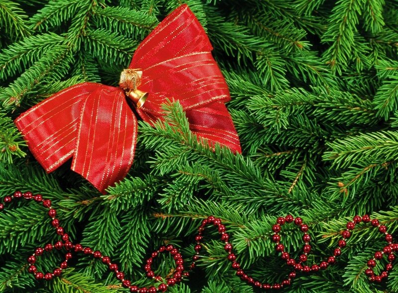 Red bow on pine branches