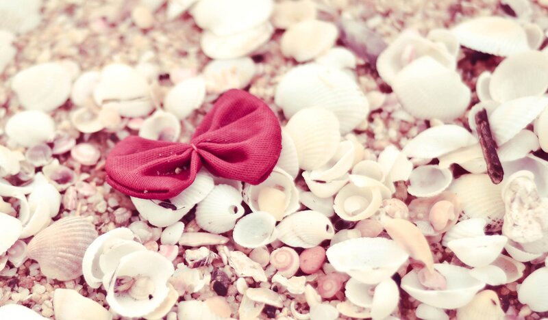 Red Bow on Seashells