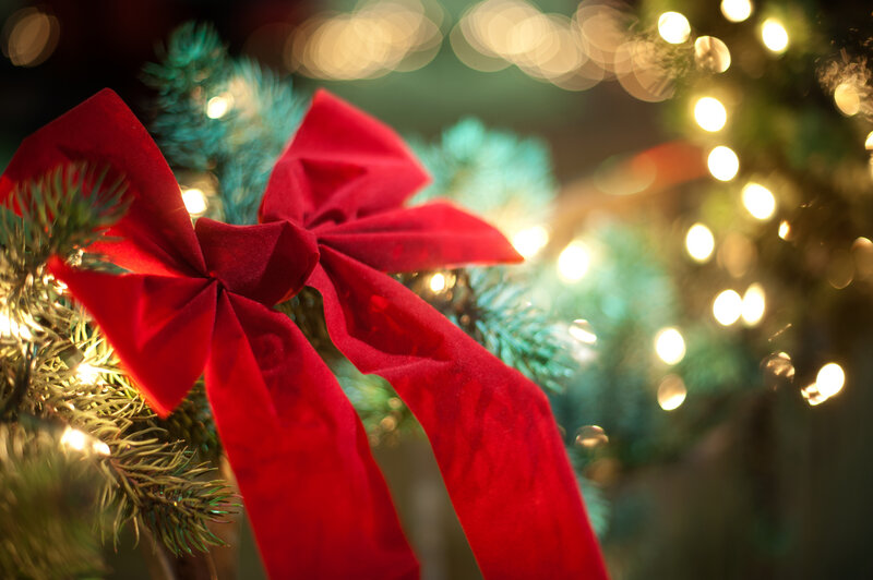 Red Bow on Tree — Festive