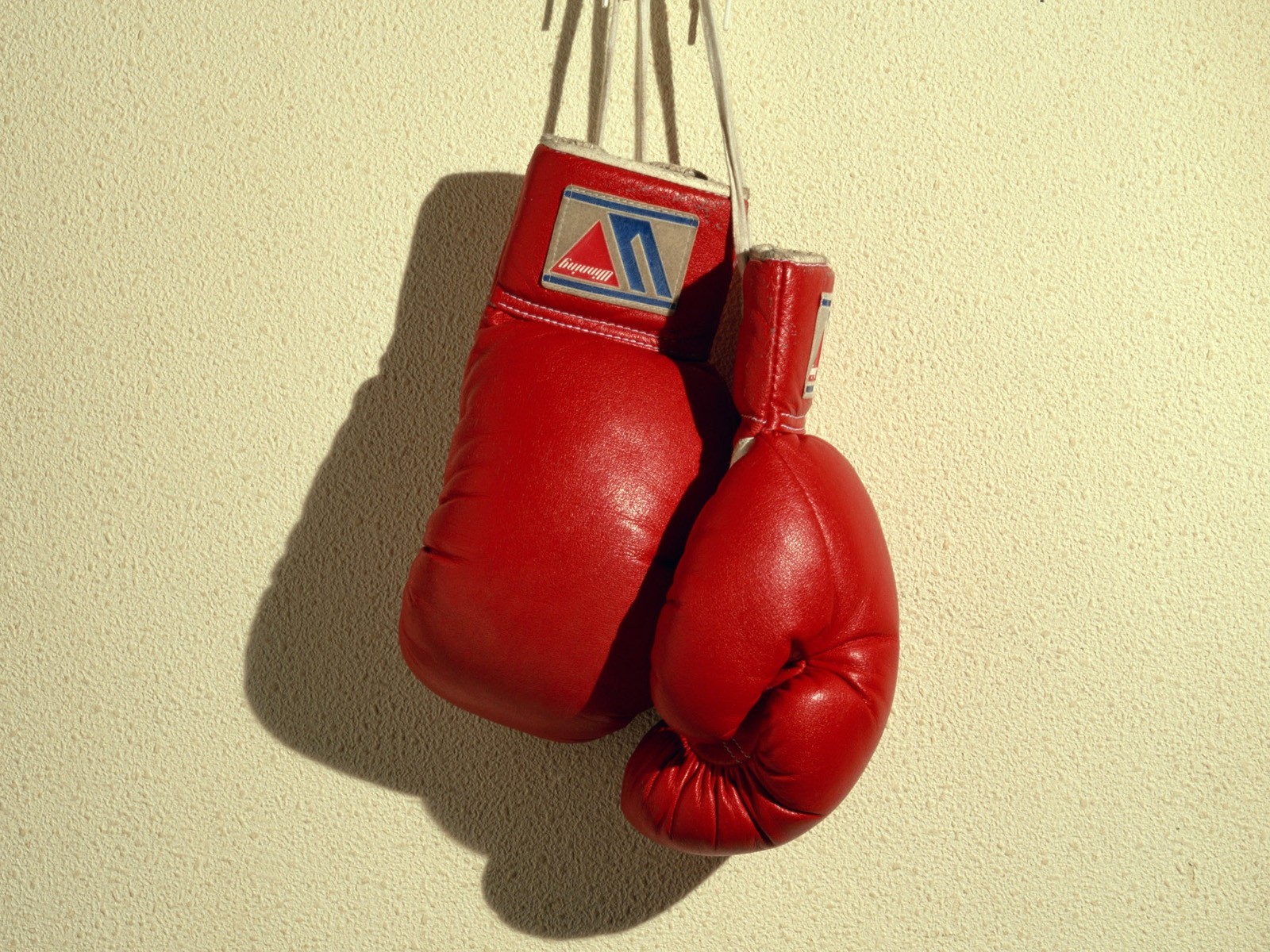 Red boxing gloves hanging
