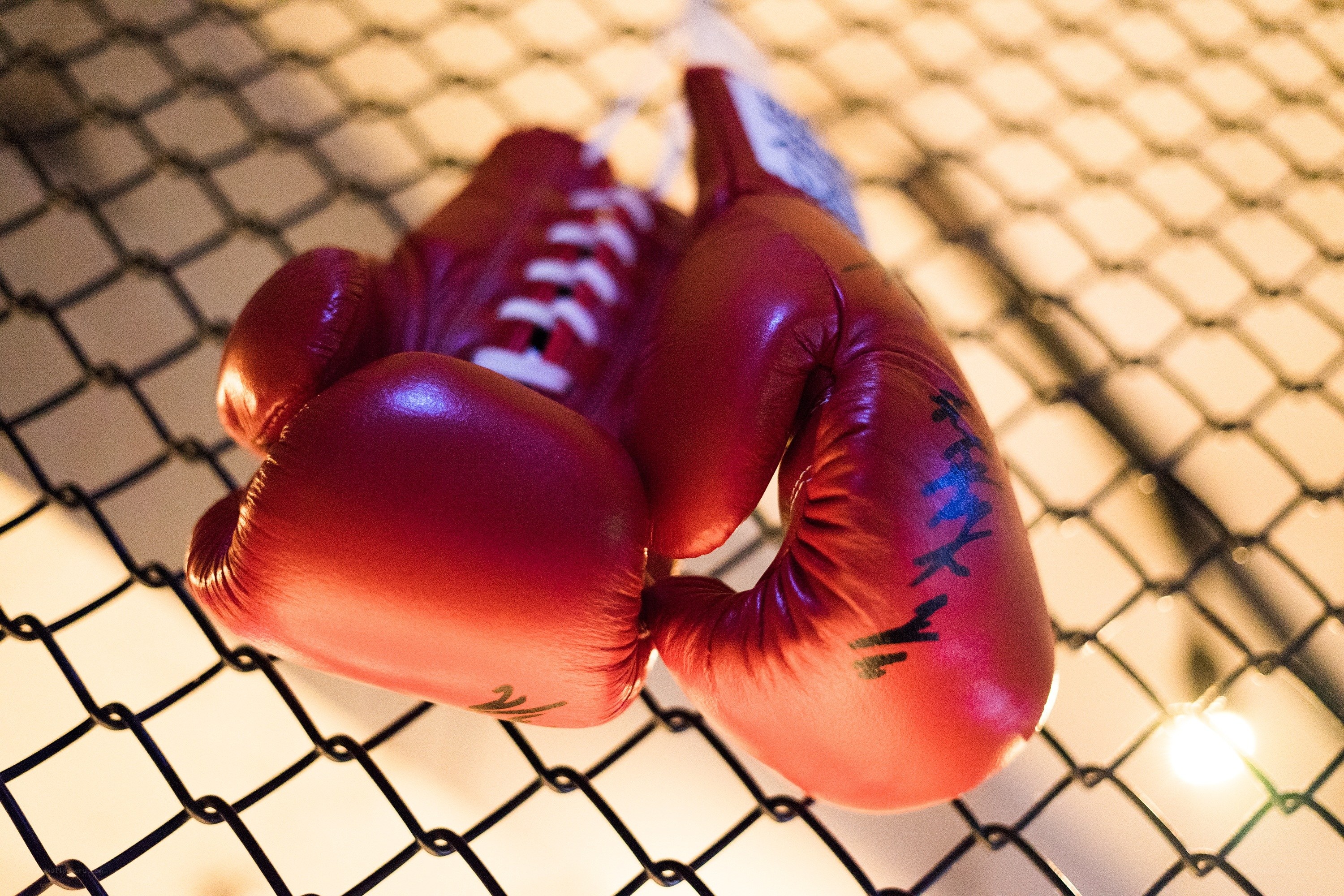 Red boxing gloves on cage