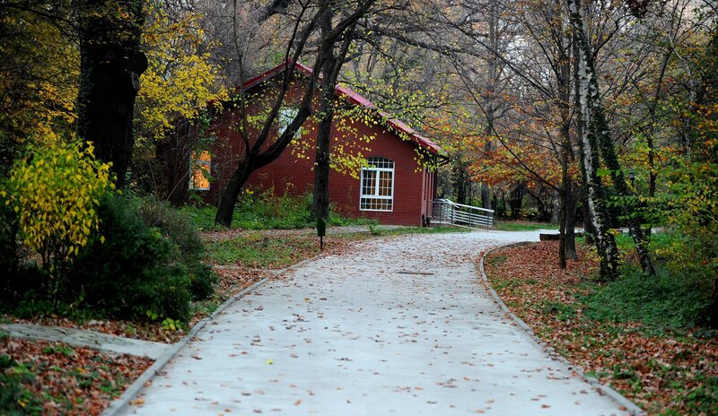 Red Brick Building in Forest