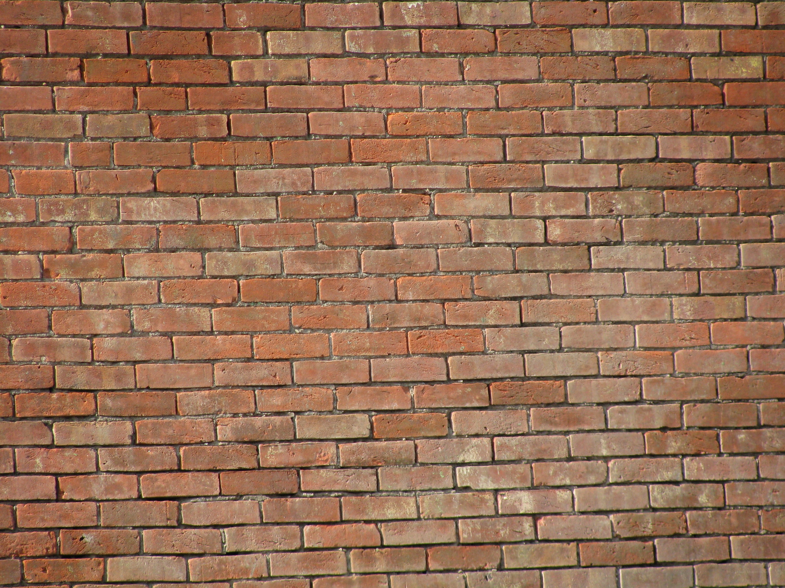 red brick wall texture